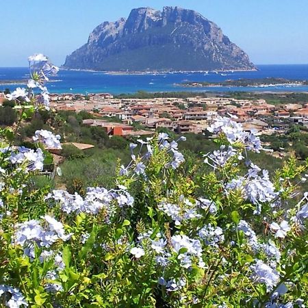 Le Case Del Mare Porto San Paolo  Buitenkant foto