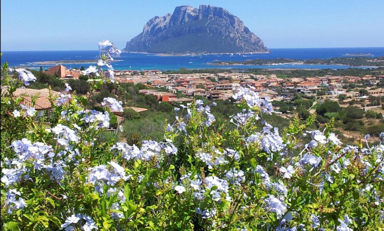 Le Case Del Mare Porto San Paolo  Buitenkant foto