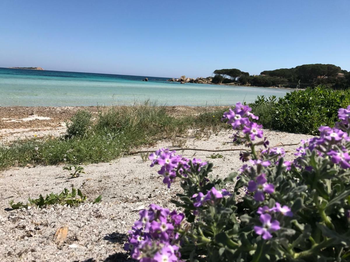 Le Case Del Mare Porto San Paolo  Buitenkant foto